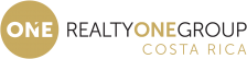 Realty One Group logo